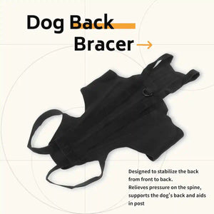 Dog Back Support Brace Full-Length Spinal Support Vest