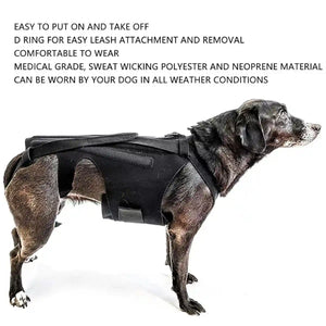 Dog Back Support Brace Full-Length Spinal Support Vest