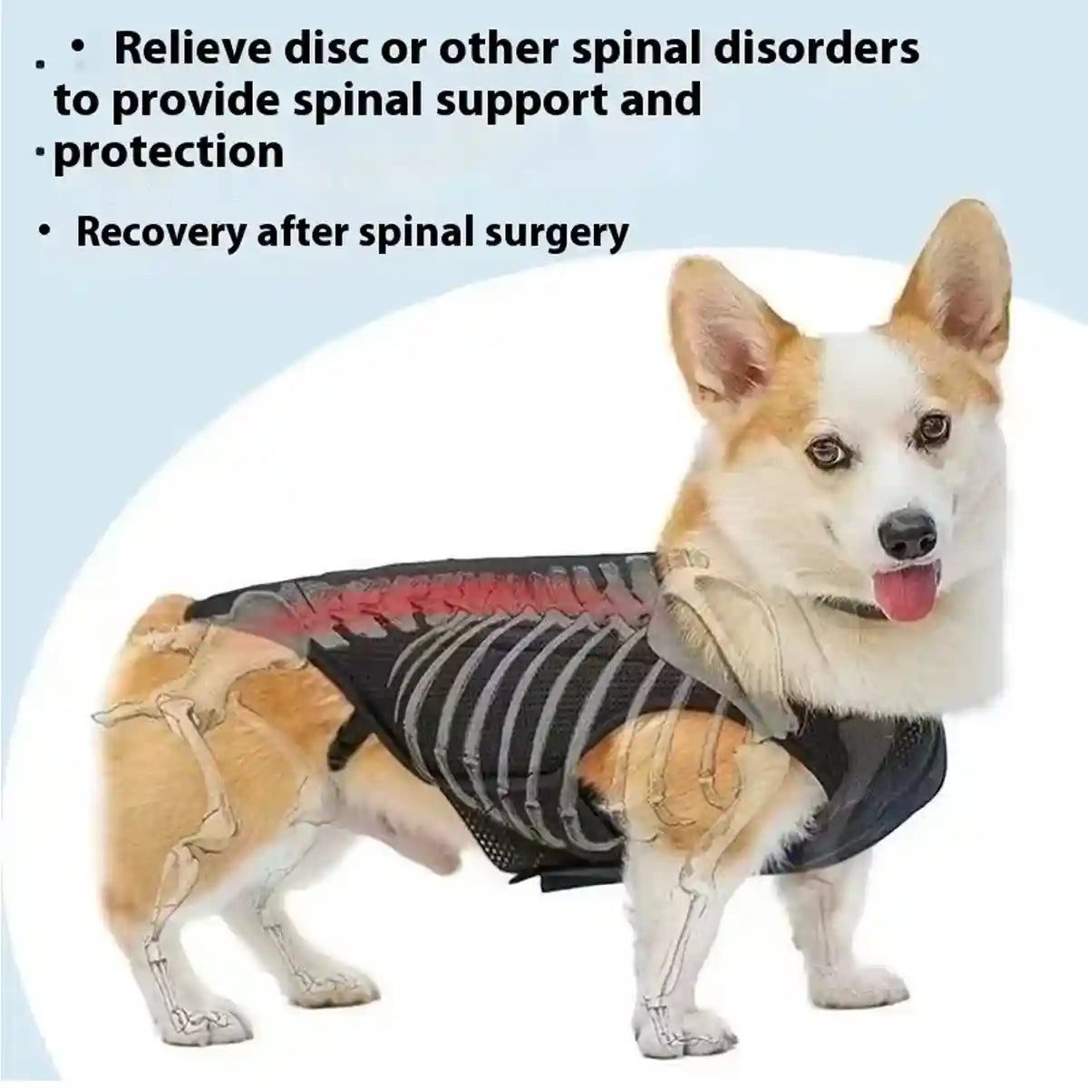 Dog Back Support Brace Full-Length Spinal Support Vest