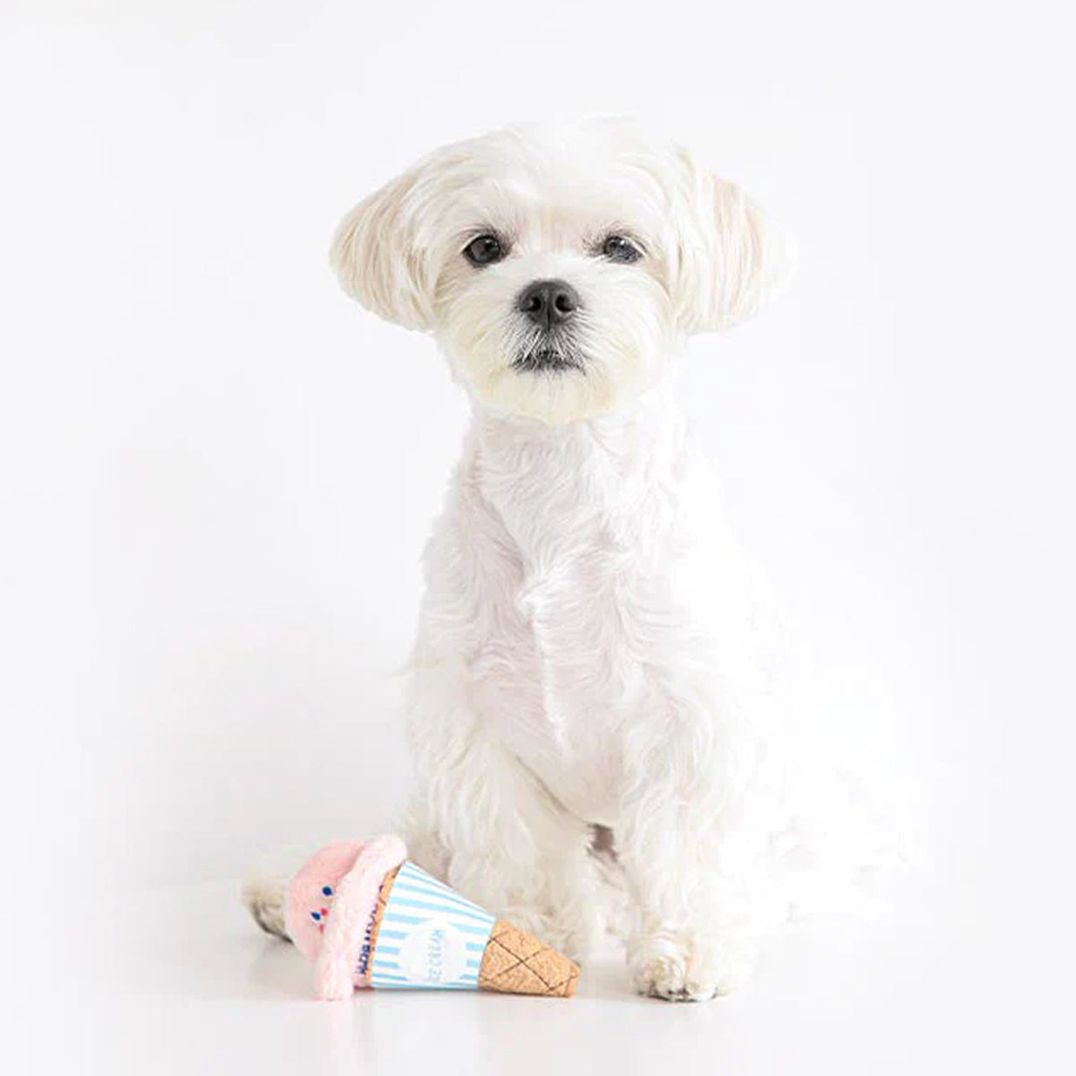Ice Cream Cone Dog Chew Toy Plush With Squeaker
