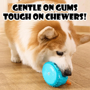 Dog Chew Toy Squeaky Monster Treat Dispenser