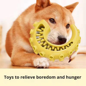 TPR Dog Chew Toy