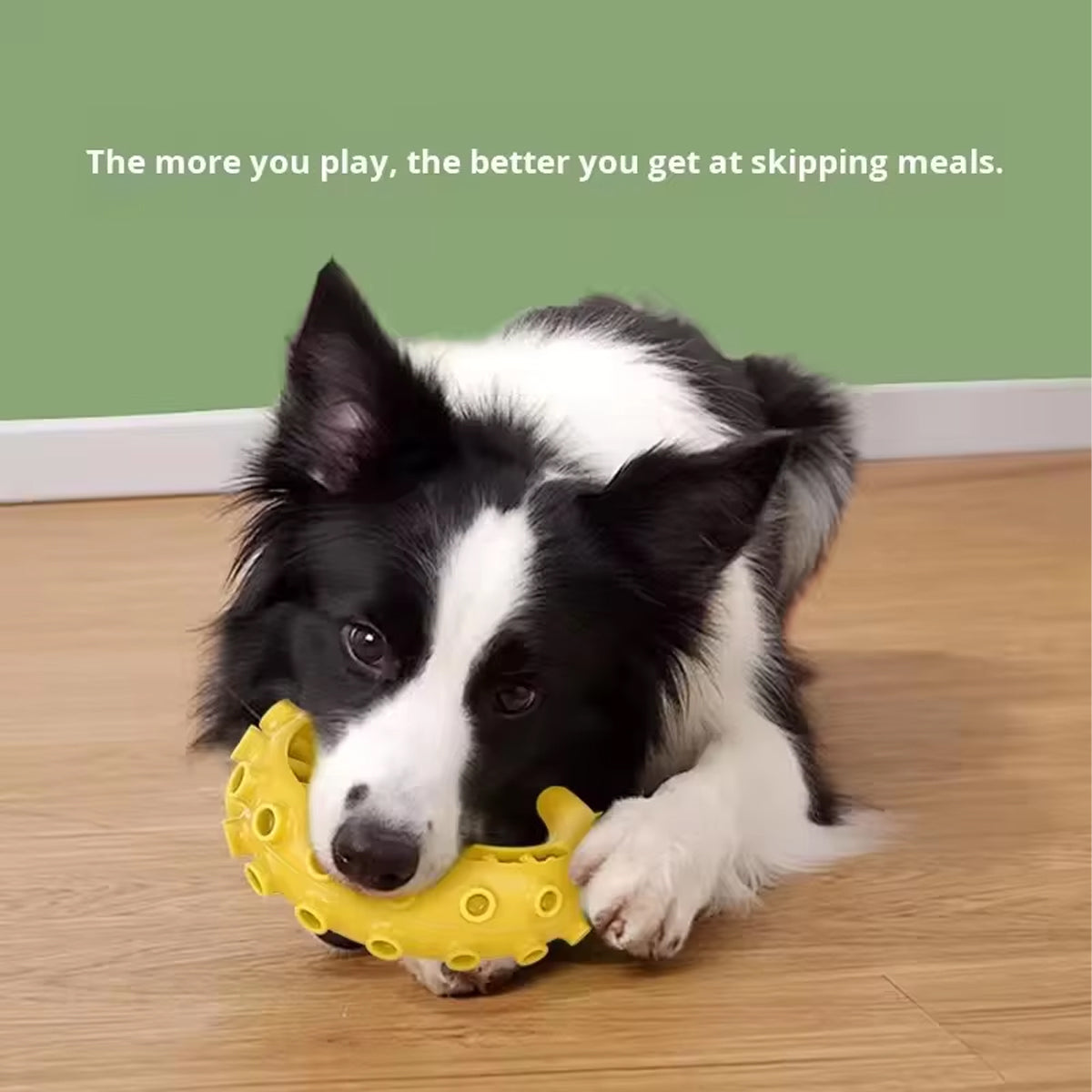 TPR Dog Chew Toy