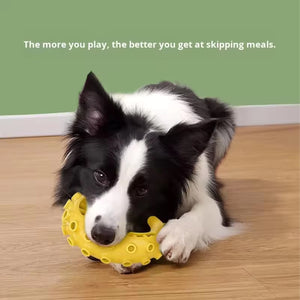 TPR Dog Chew Toy