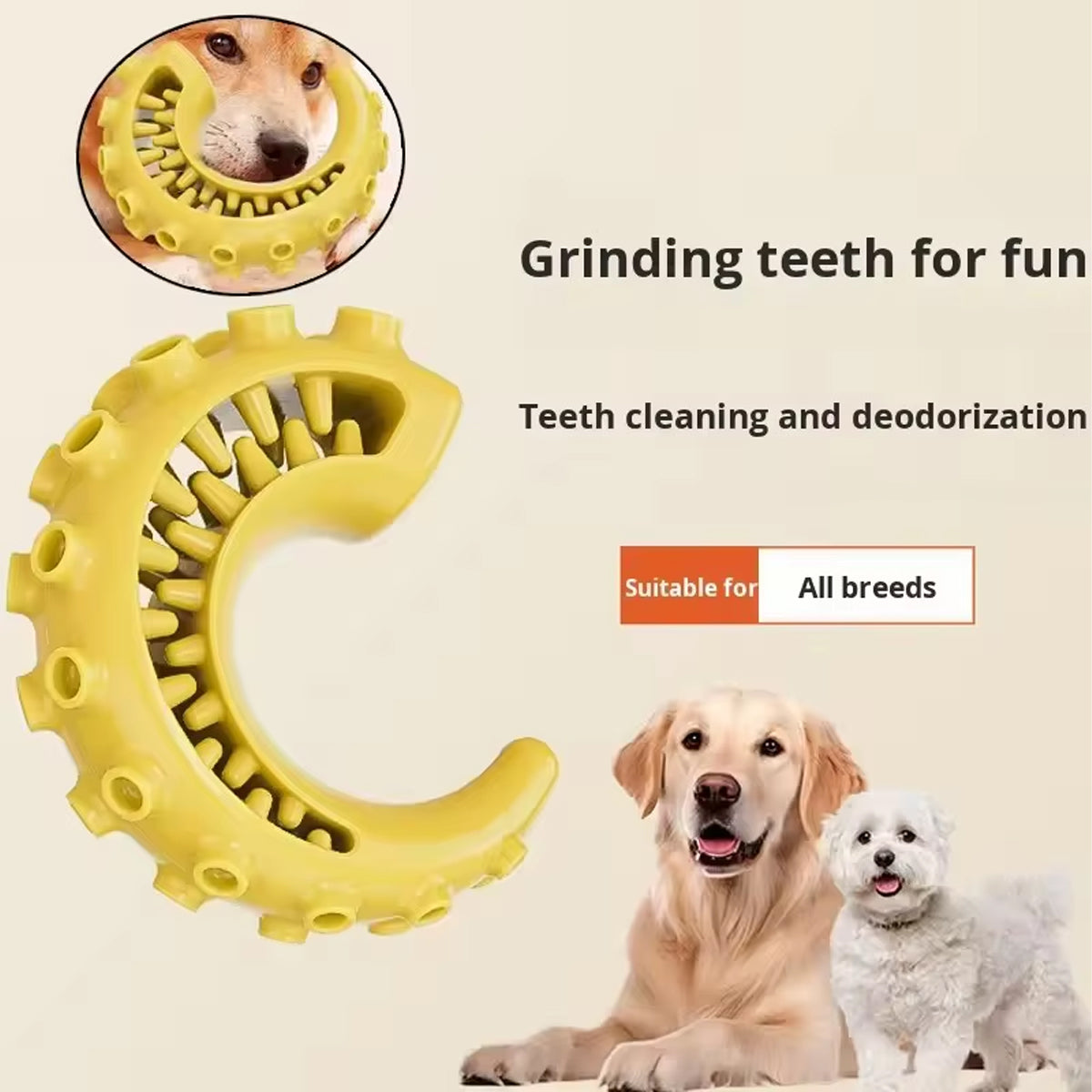 TPR Dog Chew Toy