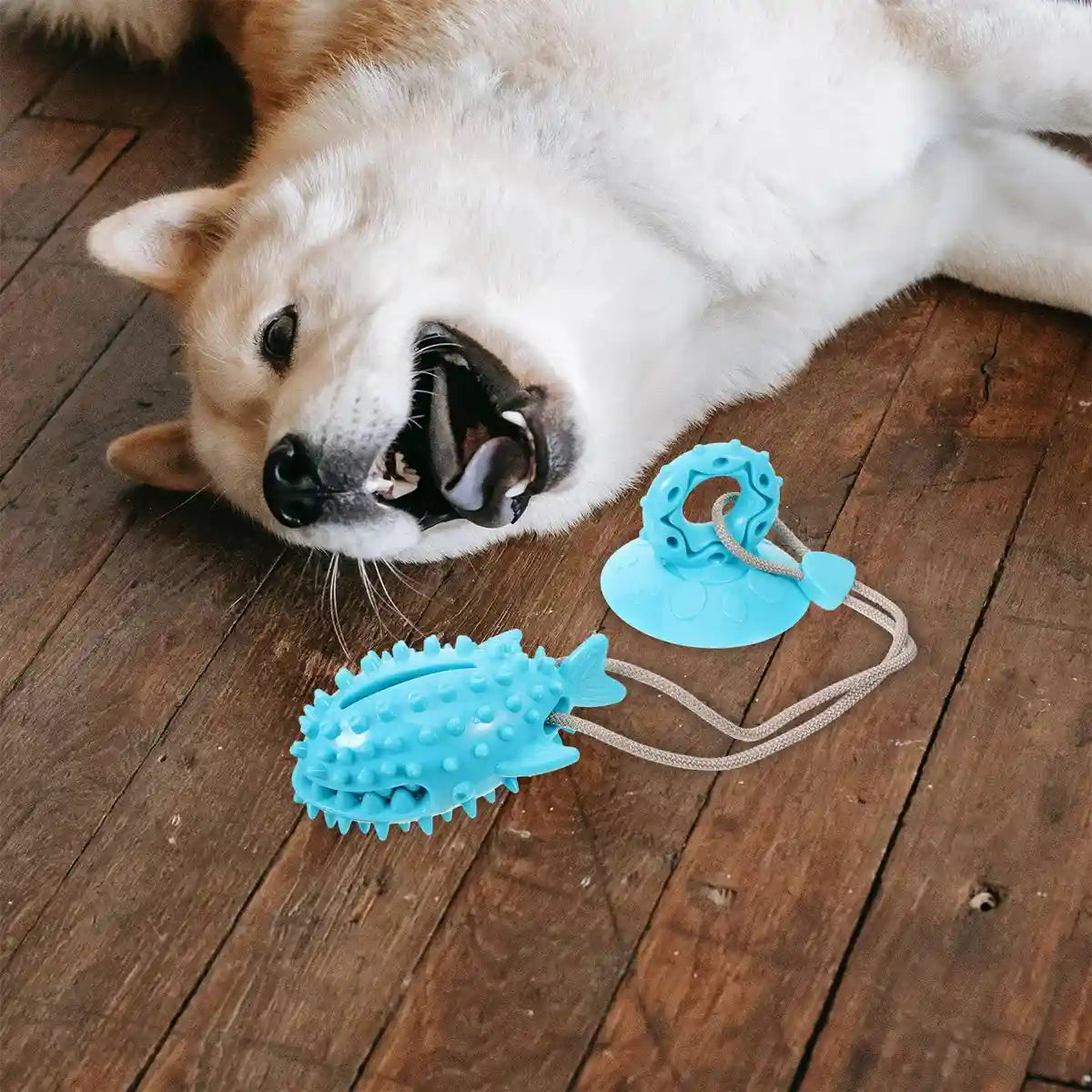 Suction Cup Tug Toy for Dogs