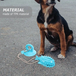 Suction Cup Tug Toy for Dogs