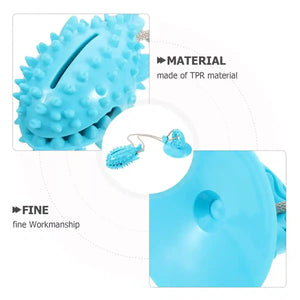 Suction Cup Tug Toy for Dogs