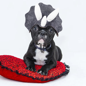 Triceratops Dog Costume Hat