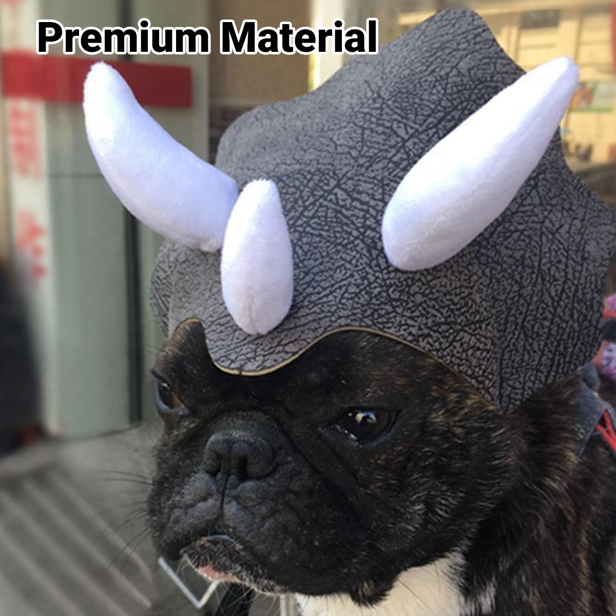 Triceratops Dog Costume Hat