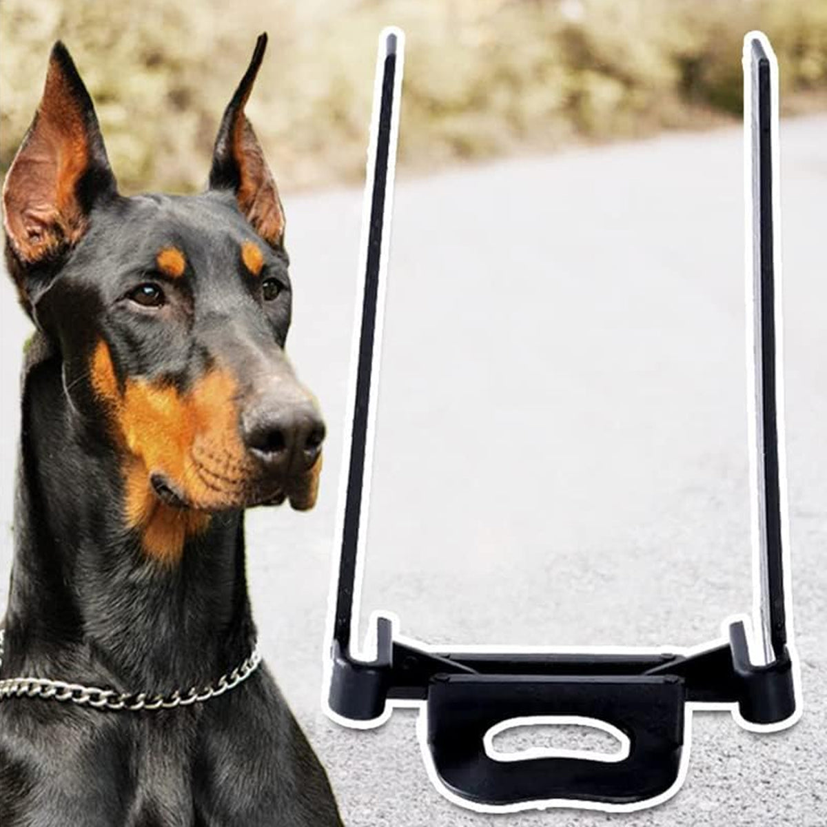 Dog Ear Support Stand Upright Ear Training Kit With Tape