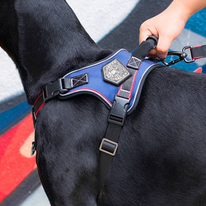 Heavy Duty Anti-Pull Dog Harness And Bungee Leash Set