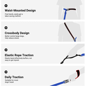 Heavy Duty Anti-Pull Dog Harness And Bungee Leash Set