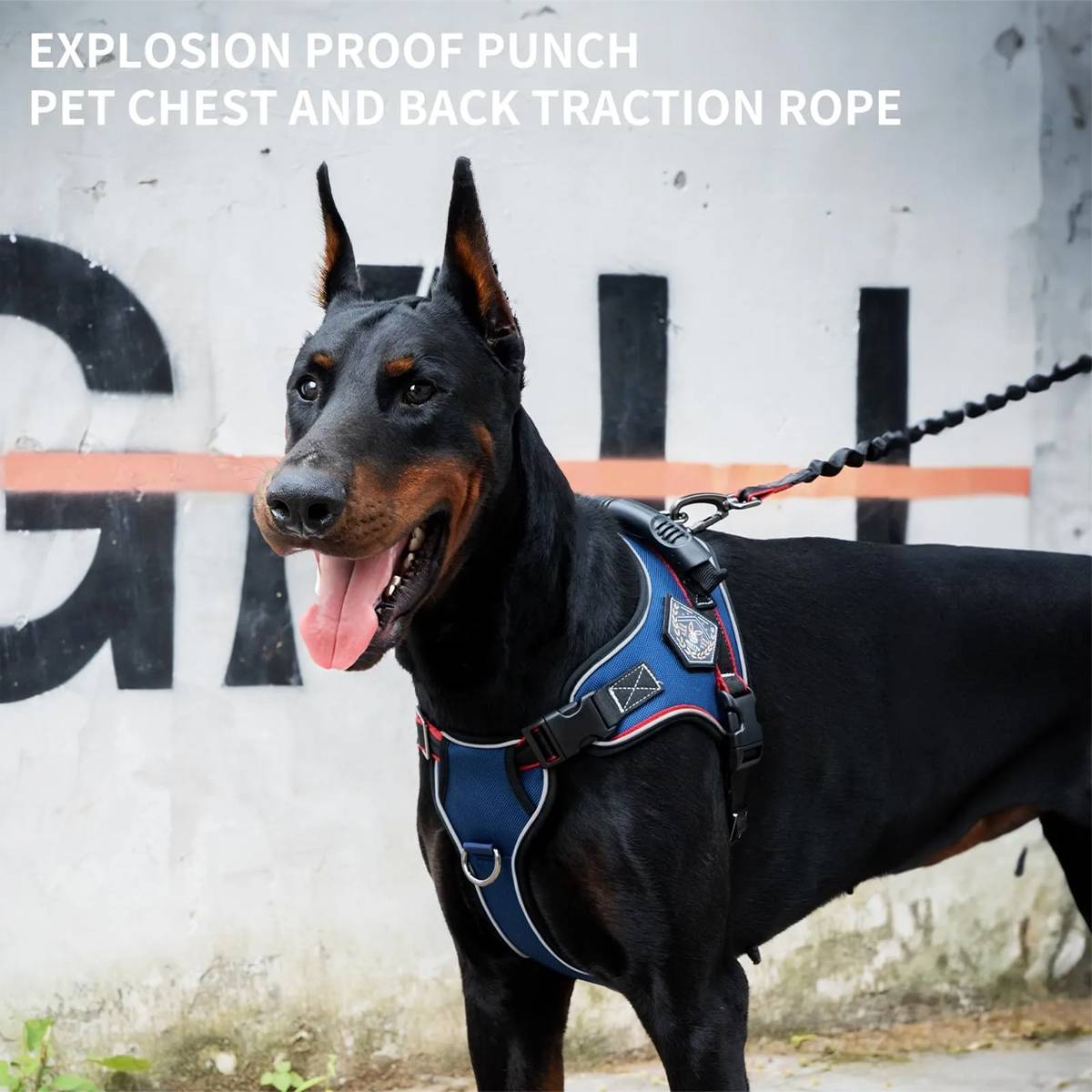 Heavy Duty Anti-Pull Dog Harness And Bungee Leash Set
