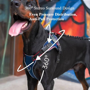 Heavy Duty Anti-Pull Dog Harness And Bungee Leash Set