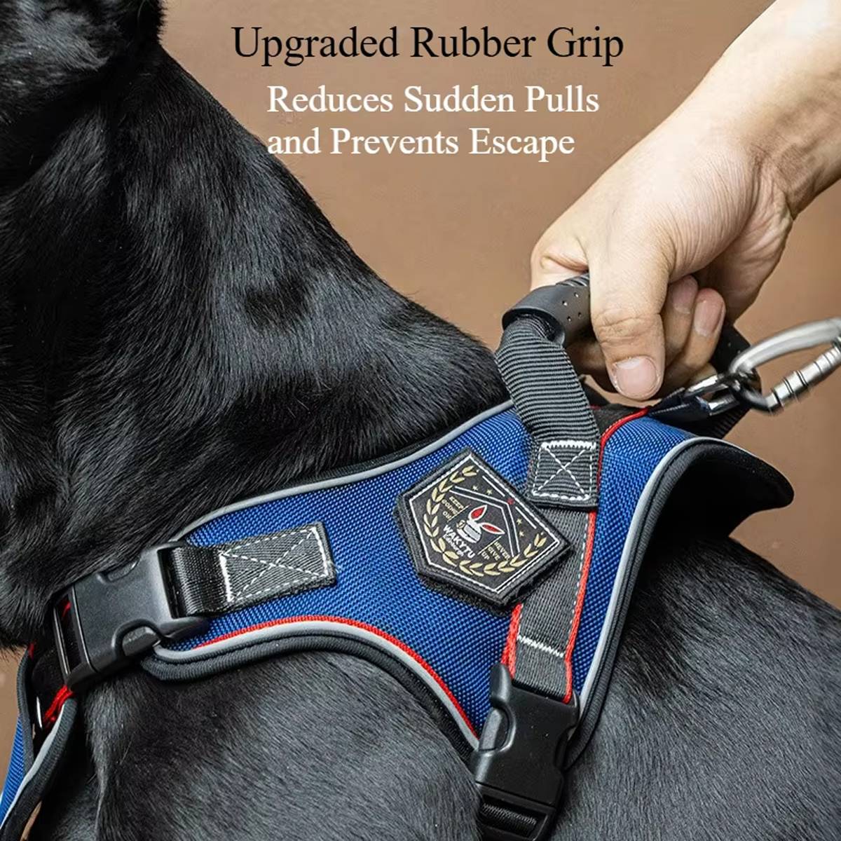 Heavy Duty Anti-Pull Dog Harness And Bungee Leash Set