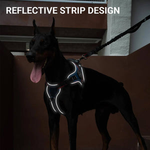 Heavy Duty Anti-Pull Dog Harness And Bungee Leash Set