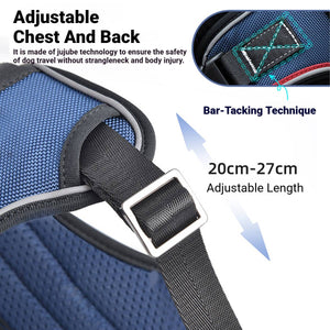 Heavy Duty Anti-Pull Dog Harness And Bungee Leash Set