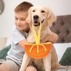 Dog Interactive Toy Durable Tug and Chew Toy