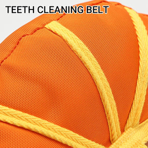 Dog Interactive Toy Durable Tug and Chew Toy