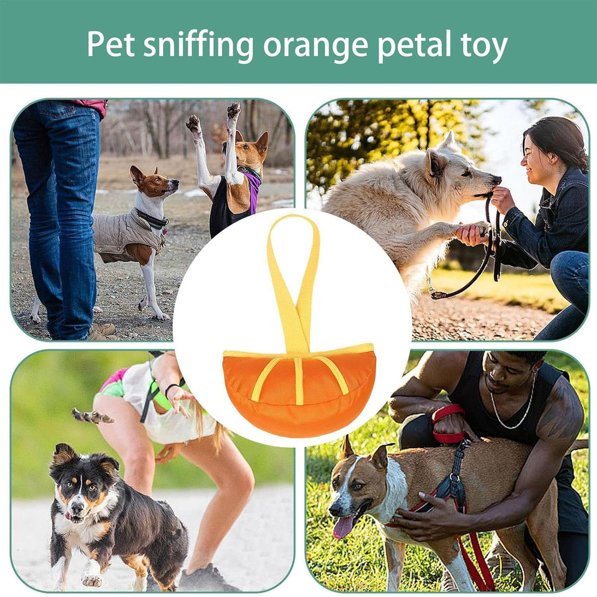 Dog Interactive Toy Durable Tug and Chew Toy