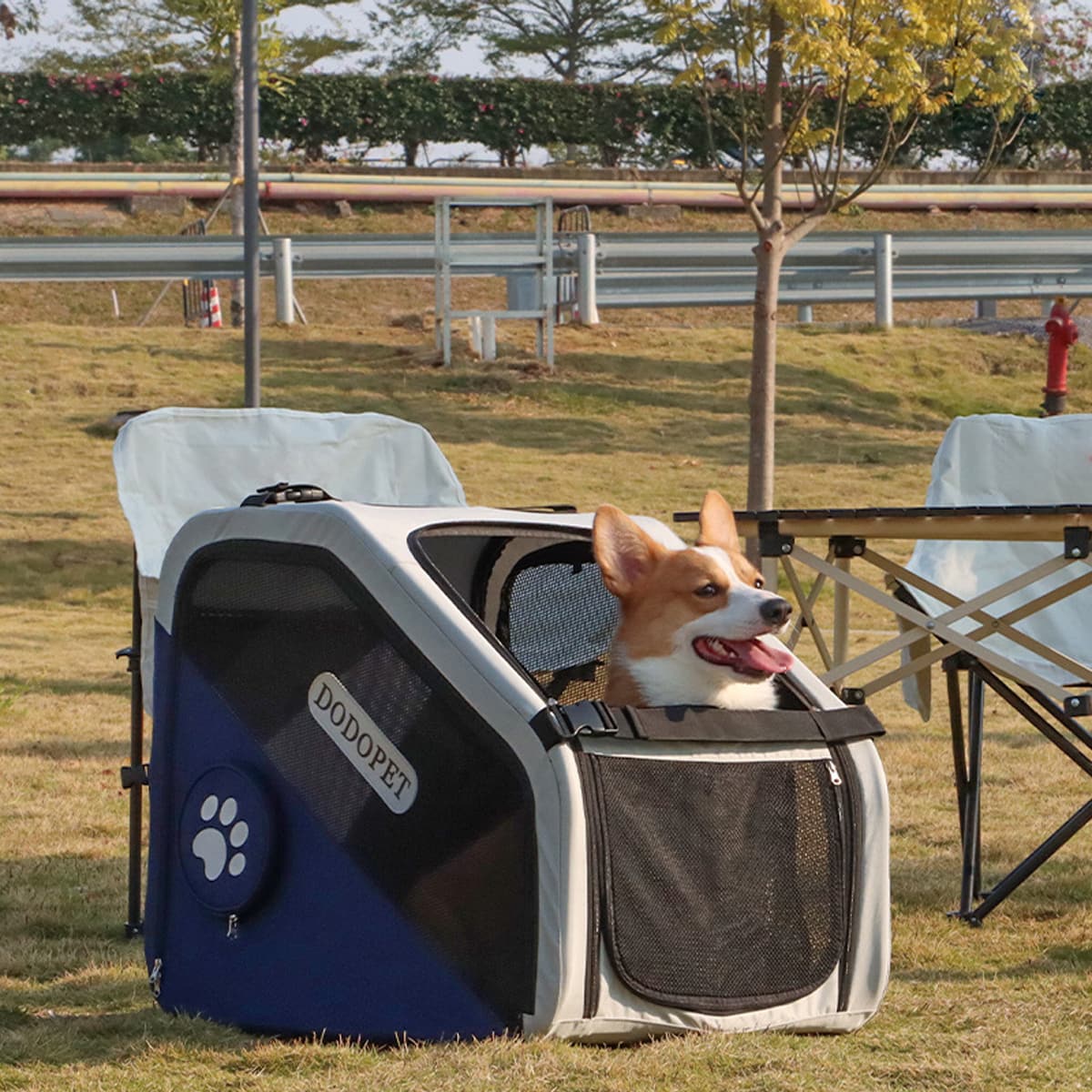 DODOPET Foldable Dog Car Carrier, Safe Travel Pet Car Seat