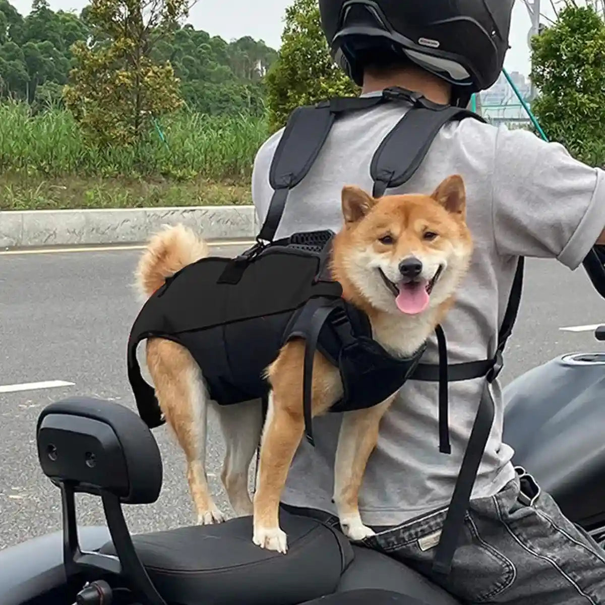 Dog Lift Harness Adjustable Support Carrying Harness for Pets