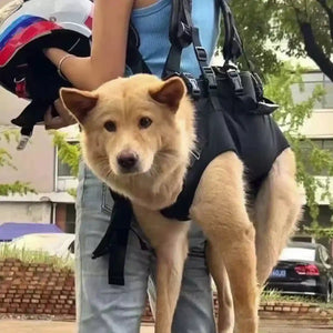 Dog Lift Harness Adjustable Support Carrying Harness for Pets