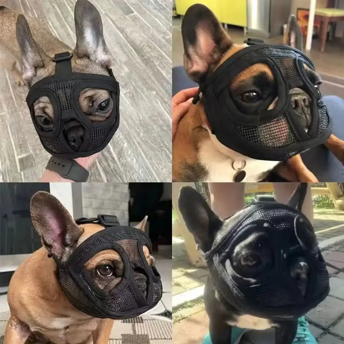 Mesh Dog Muzzle for Short-Mouthed Breeds – Breathable & Adjustable