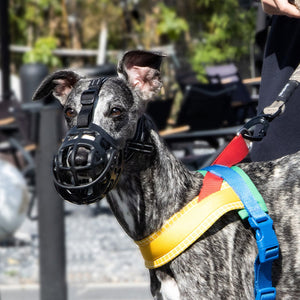 Soft Silicone Dog Muzzle, Breathable Basket Muzzle (S/M/L)