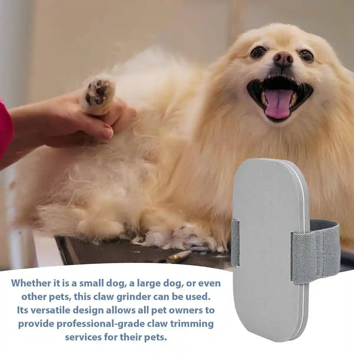 Dog Nail Scratcher Pet Paw Grinding Board for Easy Nail Trimming