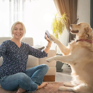 Dog Nail Scratcher Pet Paw Grinding Board for Easy Nail Trimming