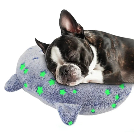 Glow in the dark dog pillow with star pattern for neck support