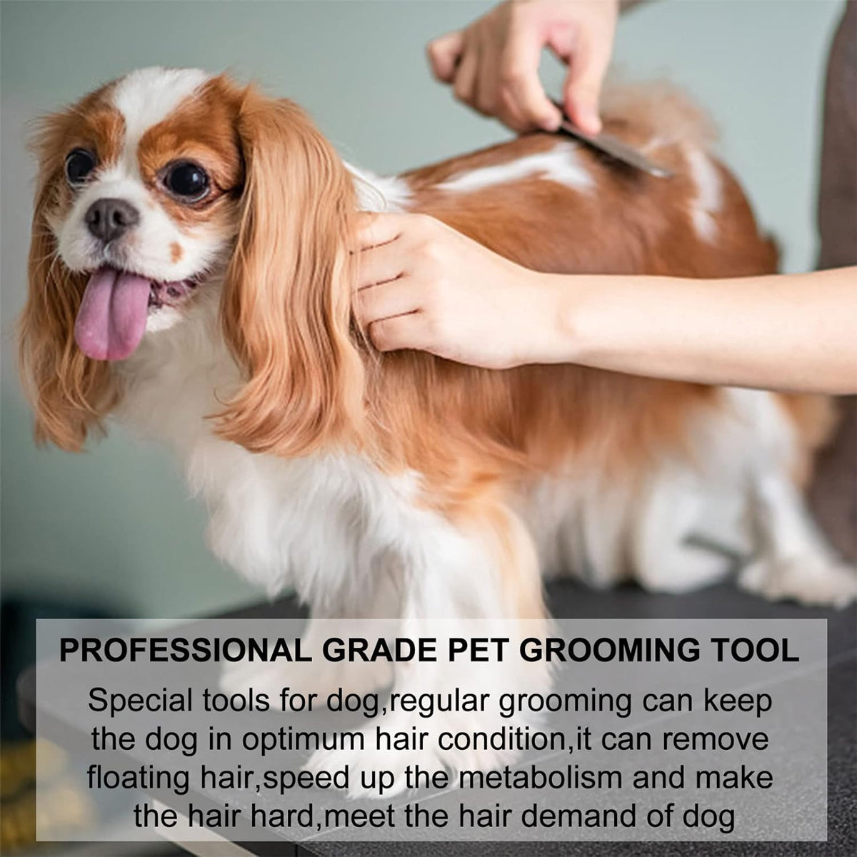 Pet Grooming Pluck Knife For Dogs