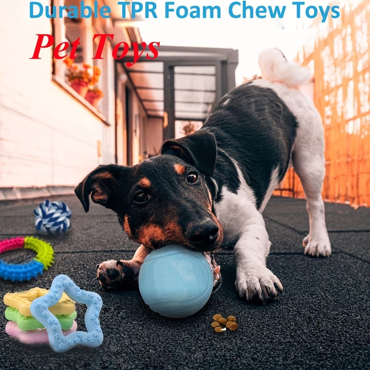10 Pcs Dog Chew Toy Set with Rope Shapes