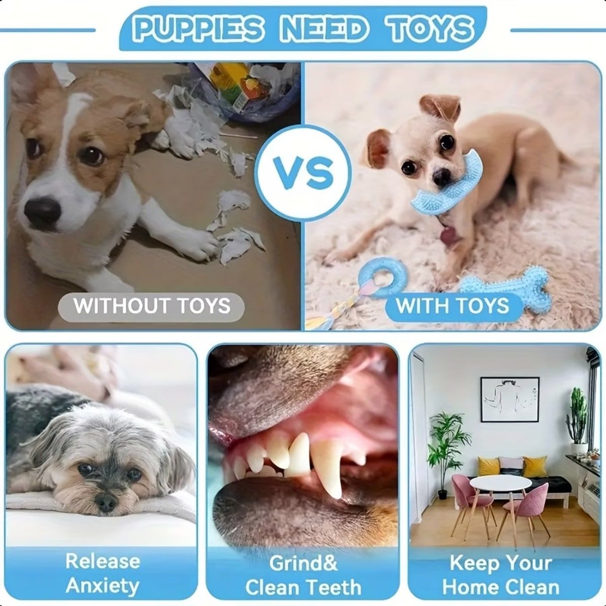 10 Pcs Dog Chew Toy Set with Rope Shapes