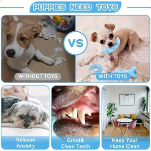 10 Pcs Dog Chew Toy Set with Rope Shapes