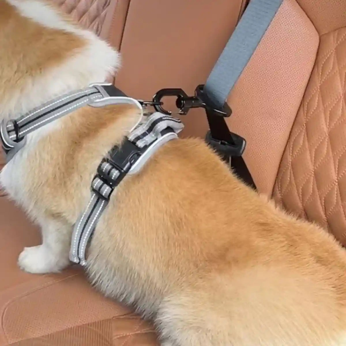 Dog Seat Belt Safety Buckle Harness