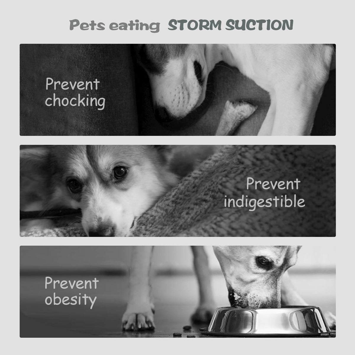 Lotus Silicone Dog Slow Feeder Bowl – Non-Slip Healthy Eating Mat