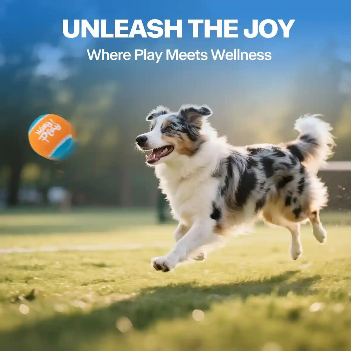 Dog Tennis Ball Launcher (1 Launcher + 3 Balls)