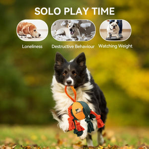 Orange Dog Tug Ball with Rope Knots and Handle