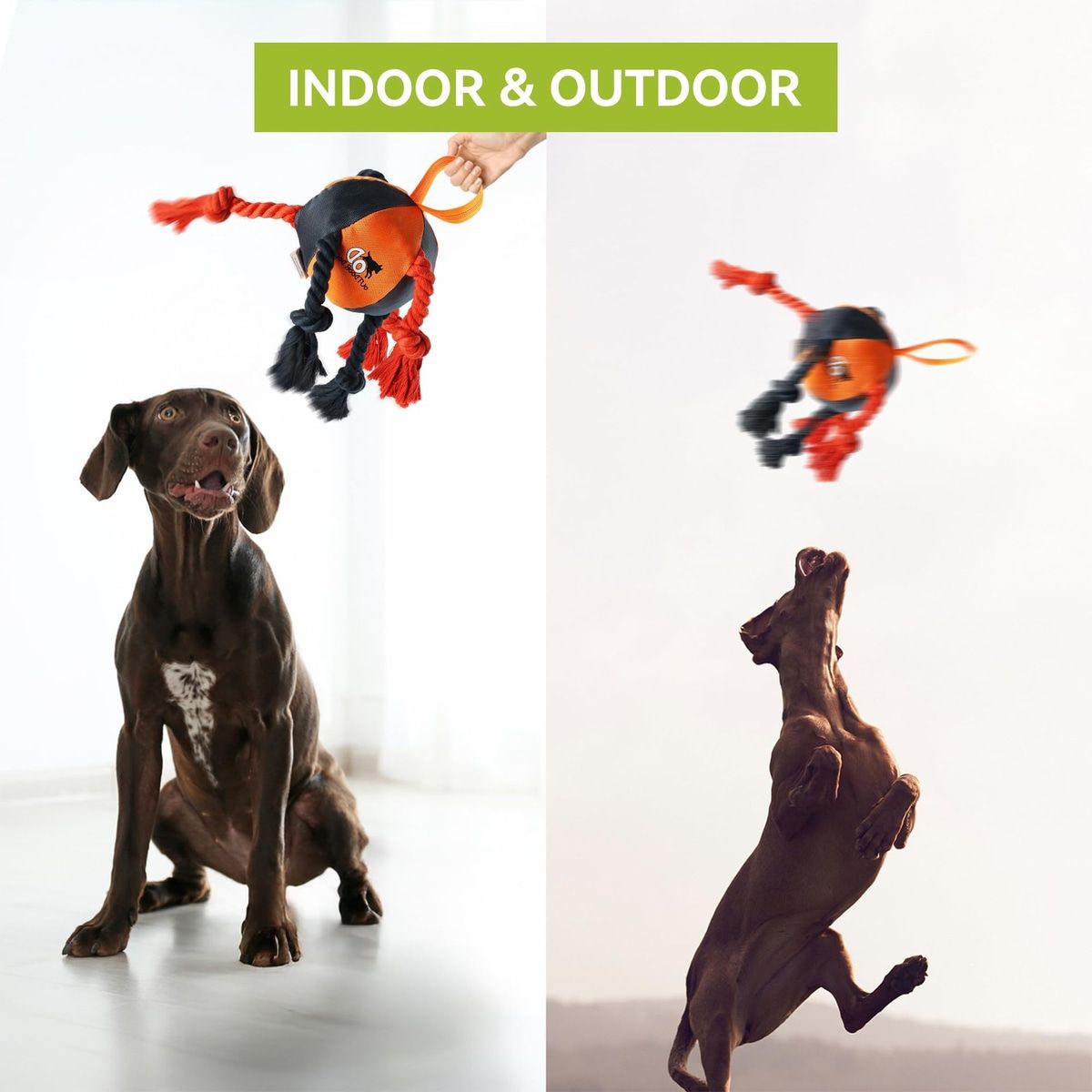 Orange Dog Tug Ball with Rope Knots and Handle