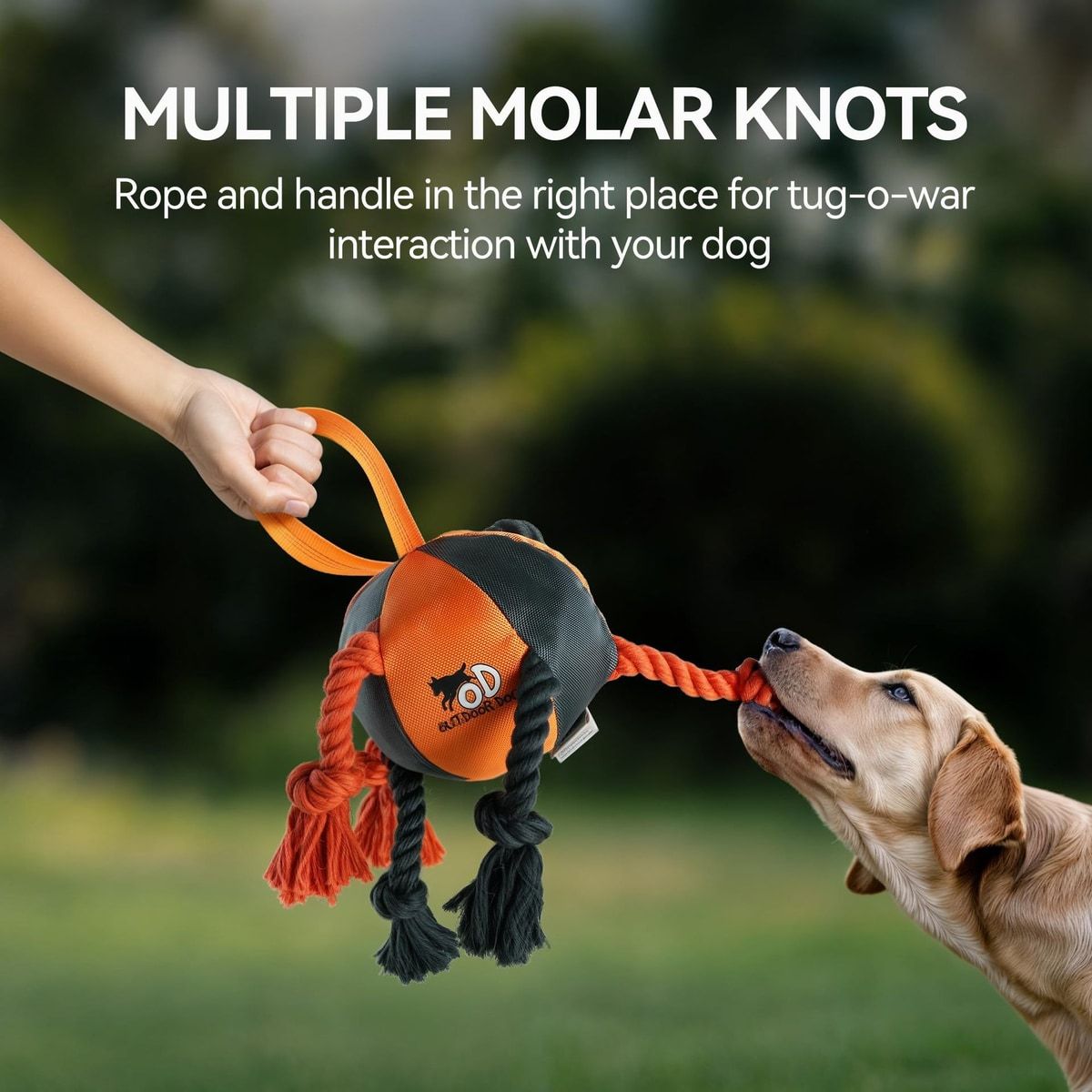 Orange Dog Tug Ball with Rope Knots and Handle
