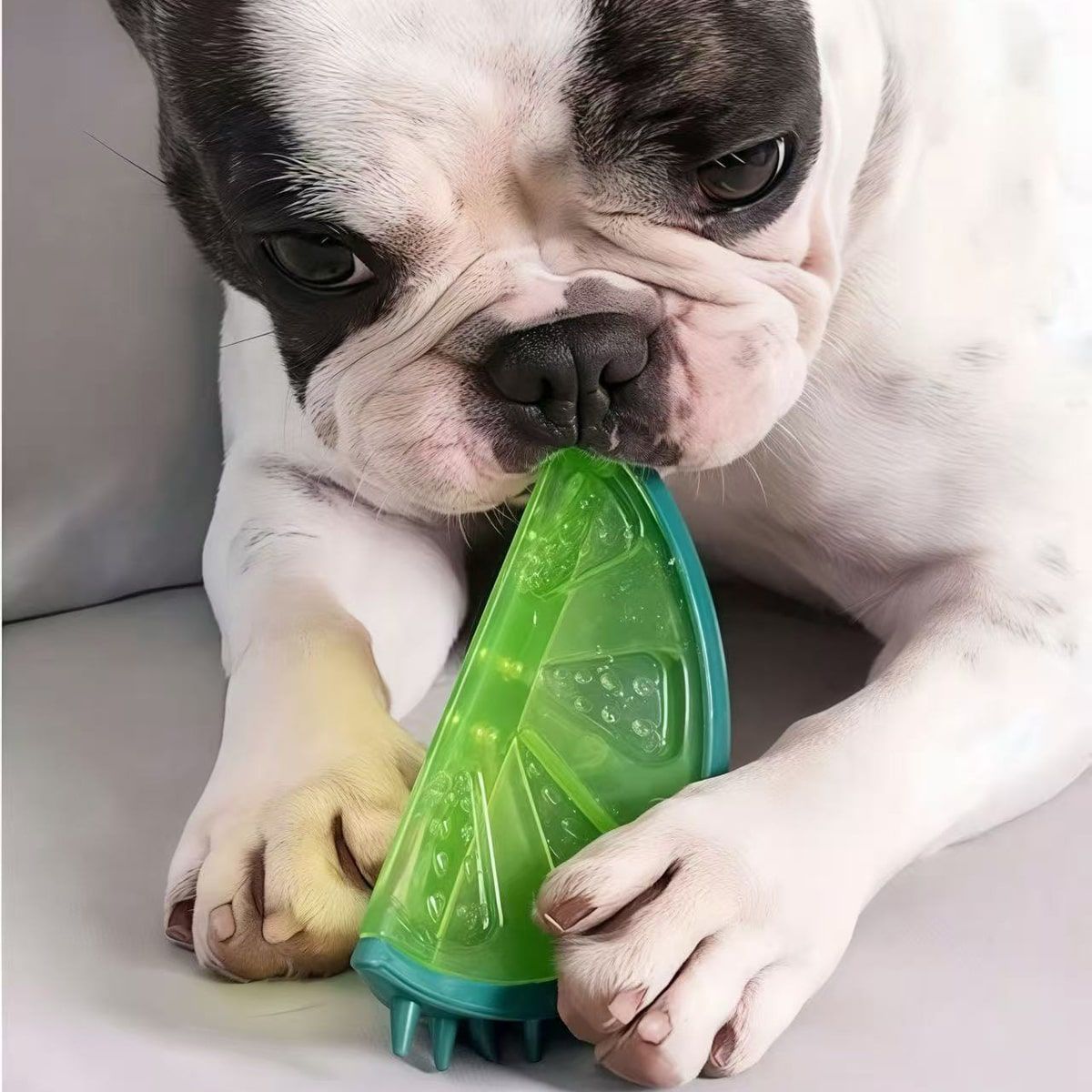 3 Pcs Fruit Shaped Dog Chew Toys for Cooling