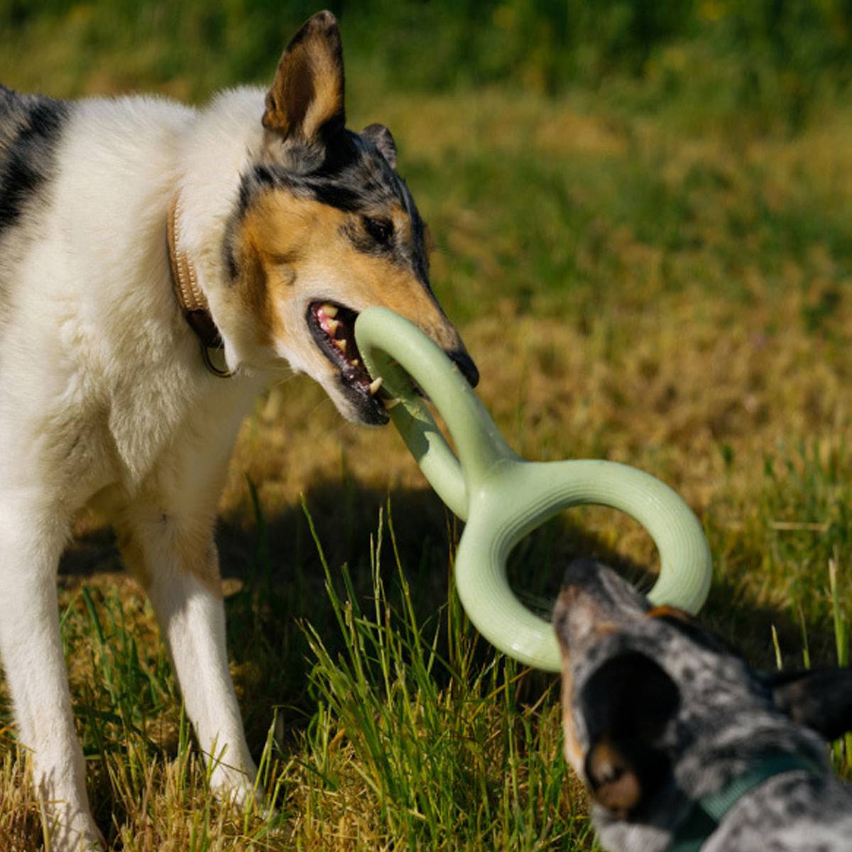 Dog Tug Toy Durable Rubber Tug Of War Toy