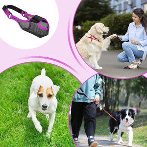 Dog Breathable Muzzle With Adjustable Strap