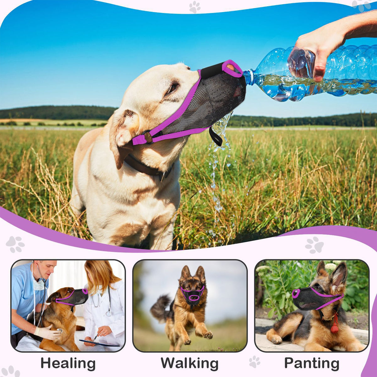 Dog Breathable Muzzle With Adjustable Strap