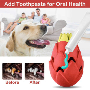 Dragon Fruit Dog Chew Toy Durable Treat Dispensing Rubber Toy