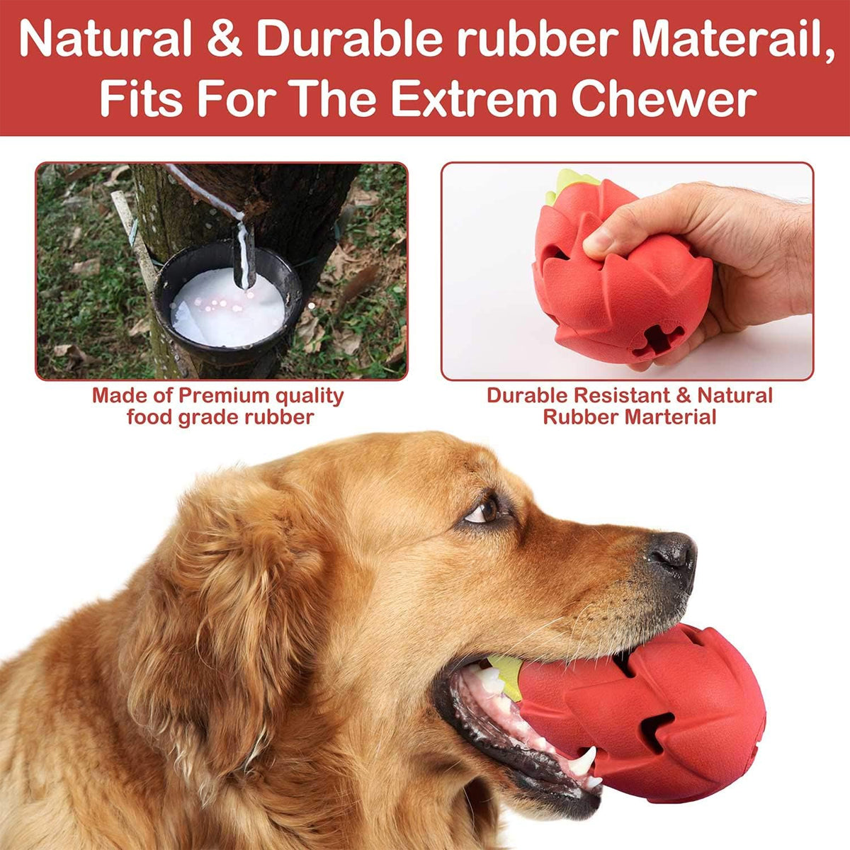 Dragon Fruit Dog Chew Toy Durable Treat Dispensing Rubber Toy