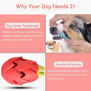 Dragon Fruit Dog Chew Toy Durable Treat Dispensing Rubber Toy